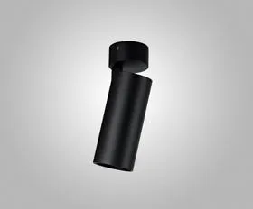 EOS A 10 Indoor Surface Mounted Luminaires Dlux Unidirectional Surface Mount